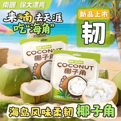 南国食品椰子角椰子块椰肉块零食