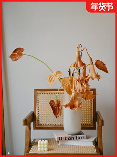 芝麻家居中古风室内高颜值