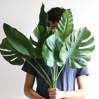 天堂鸟芭蕉叶插花婚礼家居绿植