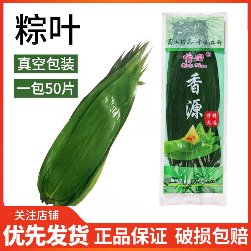 新鲜粽叶50片 包粽子的叶子粽子叶大号竹子叶苇叶皮 大鲜粽叶箬叶
