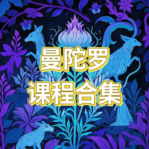 曼陀罗课程合集 名师课程 高清视频课程音频课程合集 网盘发货