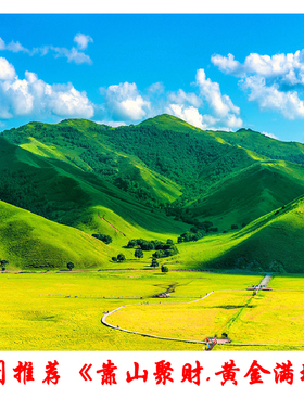 尺寸定制寓意靠山聚宝盆蓝天白云蒙古草原风景无水背景壁画FJ1150
