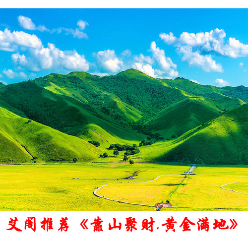 森林风景蓝天白云大山日出