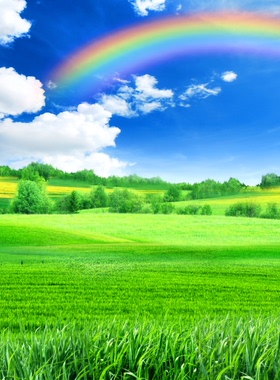 草地高清晰高清蓝天白云彩虹竖版空间延伸护眼玄关沙发墙FJ01268