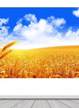丰收大麦金色麦田麦子蓝天白云风景麦穗FJ05331客厅饭店背景墙画