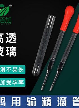 斗鸡人工授精工具鸡用输精管受精管母鸡输精滴管公鸡采精杯鸡授精