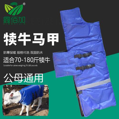 【全网热销】加大加厚犊牛马甲