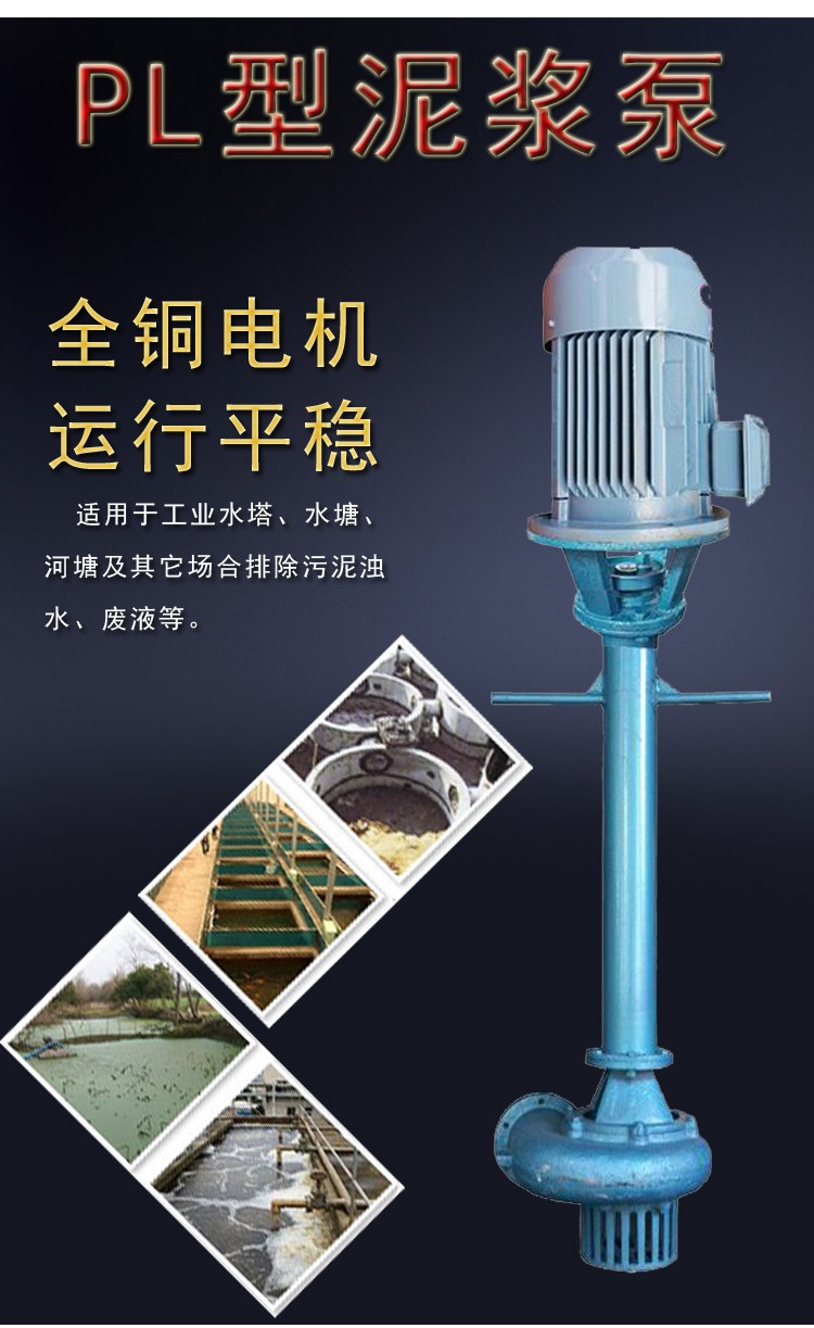 铸铁电动污水处理泥浆泵