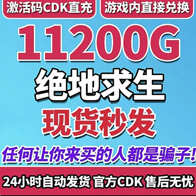 PUBG绝地求生G币 11200g币  steam CDK兑换码coin吃鸡gb点券