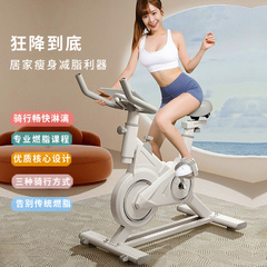 动感单车家用室内减肥健身房专用运动器材小型静音智能脚踏自行车