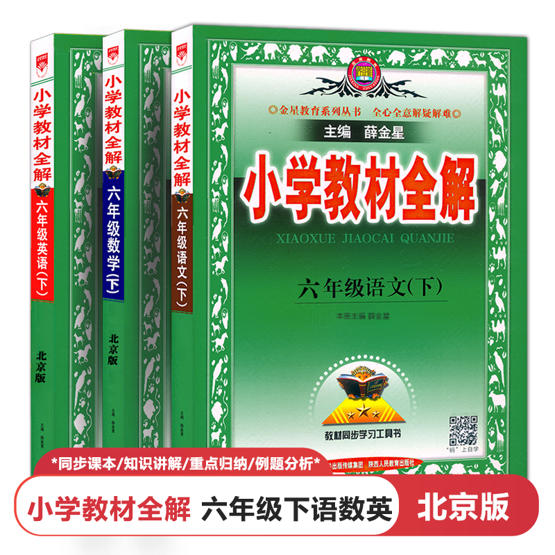 2025春 小学教材全解六6年级下册语文人教部编版RJ+数学+英语北京课改版BJ 薛金星全解6六下课本同步解读辅导书教辅练习册督导资料