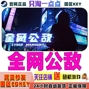 Steam正版游戏  全网公敌  推理解密   国区激活码