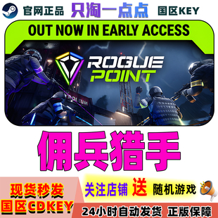 Steam正版游戏 佣兵猎手 Rogue Point  国区激活码