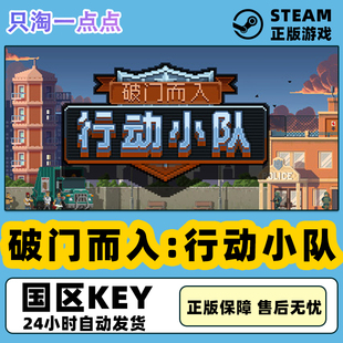 steam正版 PC中文游戏 国区KEY 破门而入:行动小队 动作休闲 模拟