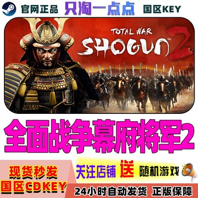 steam正版国区全面战争