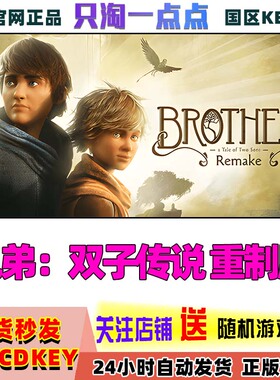 PC正版Steam游戏 兄弟双子传说 重制版 重置版 国区激活码CDKEY