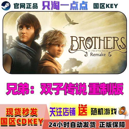 Steam正版兄弟双子传说重制版
