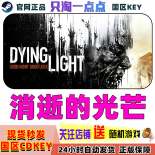 国区KEY Light信徒加强版 消逝 Dying CDK 光芒1 Steam正版
