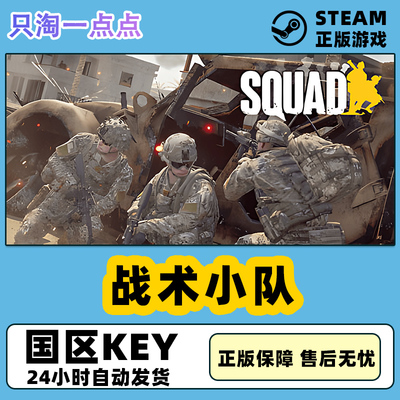 Steam正版游戏 战术小队  Squad  多人竞技 国区激活码