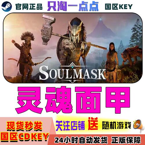 steam灵魂面甲激活码现货
