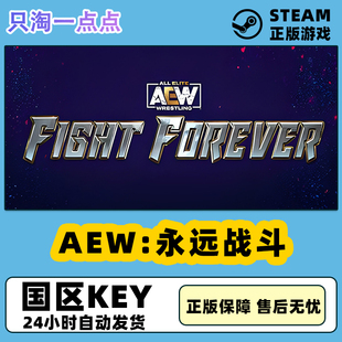 永远战斗 AEW Fight Forever CDK Steam正版 国区激活码 游戏