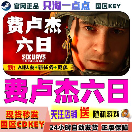 Steam费卢杰六日激活码现货