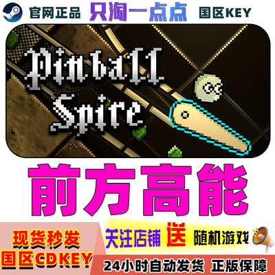 PC中文steam正版游戏前方高能