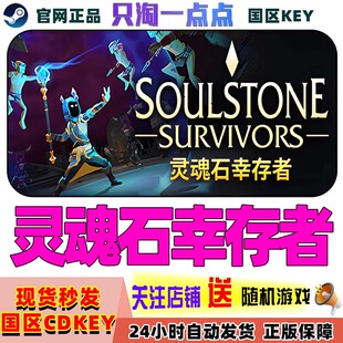 Steam正版国区KEY 灵魂石幸存者 Soulstone Survivors国区激活码