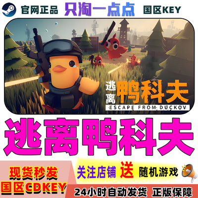 Steam正版游戏逃离鸭科夫