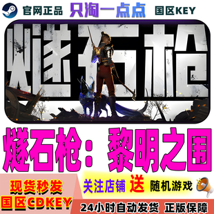 Steam正版游戏 燧石枪 黎明之围 国区激活码现货秒发