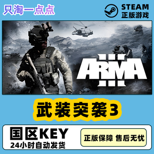 Steam中文正版 武装突袭3 Arma3 多人射击 国区激活码 CDkey