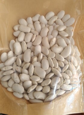 云南丽江老君山特产高山白芸豆干货农家产品
