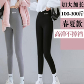 女高腰胖mm200斤春夏显瘦打底裤 250斤大码 加肥加长鲨鱼裤
