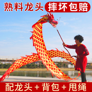 舞龙广场健身甩龙舞龙彩带甩彩龙彩条初学成人中老年耍布龙头儿童