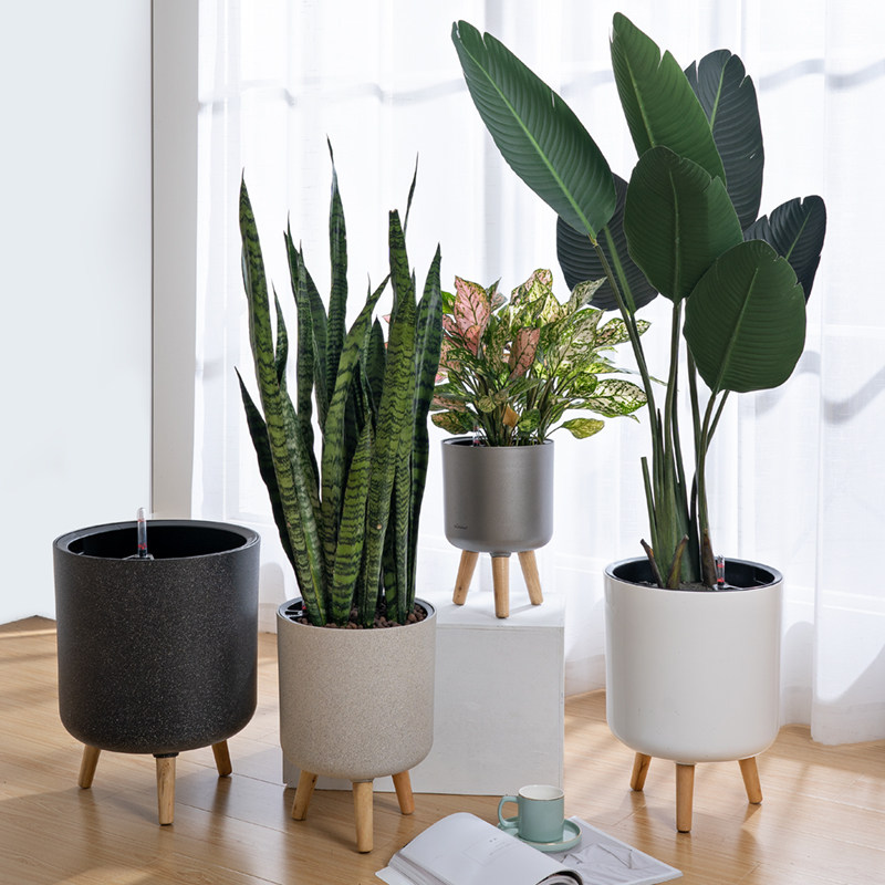 大花蕙兰客厅高脚花盆带脚木脚北欧简约现代ins轻奢落地懒人吸水