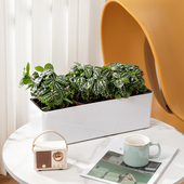 长方形花盆长条型阳台室外花箱窗台花槽塑料种花种菜盆懒人自吸水