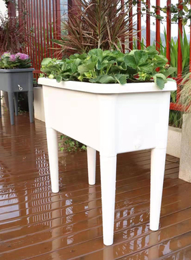 阳台懒人种菜专用盆大号种菜神器家庭长方形塑料高脚种菜盆自吸水