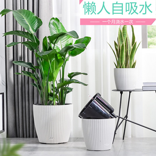 懒人自吸水树脂简约仿藤编大花盆