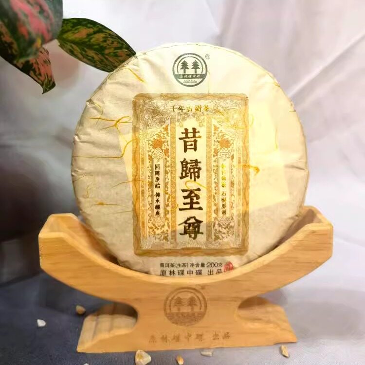 原林碟中碟 2018年昔归茶王地至尊单株古树茶 普洱茶七子饼茶生茶