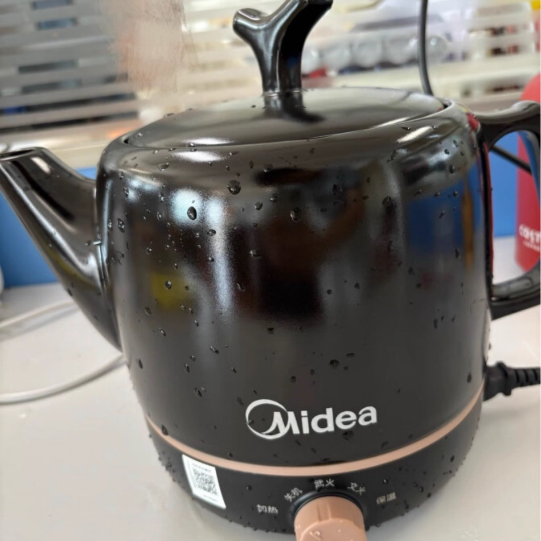 美的煎药壶家用熬药中药壶3升图片
