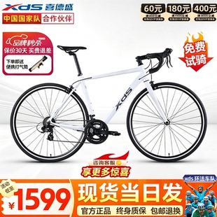 xds喜德盛26款RC200公路自行车7速铝合金车架男女入门休闲公路车