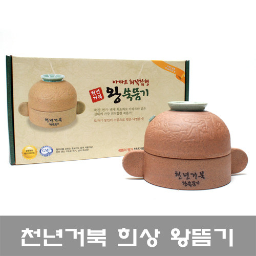 韩国女性保养全身温灸器ems直送