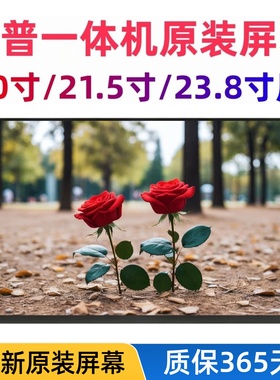 惠普HP PRoONE 400 600 G3 G4 G5 G6 440 G9 zhan66 60一体机屏幕