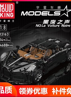 宇星模王13163布加迪黑夜之声遥控积木跑车1_8高砖科技拼装玩具