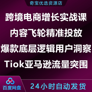 跨境电商增长实战课内容飞轮精准投放爆款逻辑用户洞察亚马逊流量