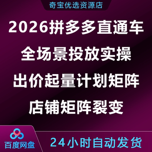 2026拼多多直通车全场景投放实操出价起量计划矩阵店铺矩阵裂变