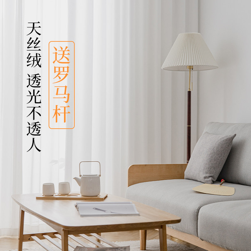 天丝绒窗纱白纱纱帘透光不透人幻影梦幻帘窗帘办公室客厅高端大气