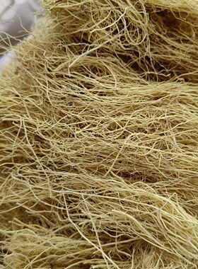 新货正品细辛  辽宁细辛干净 去头细辛 无杂志100克