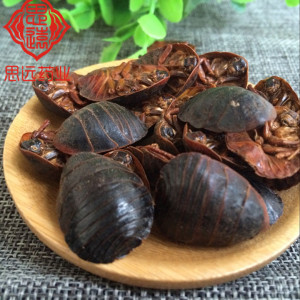 中药材土元500g地鳖虫/土鳖/土鳖虫 店内有全蝎 水蛭蜈蚣销售