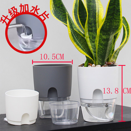 圆型花盆透气储水自吸水透明观水